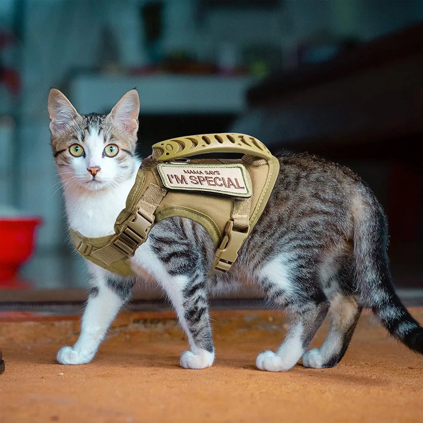 Tactical Cat & Small Dog Harness — Escape-Proof, Adjustable, and Breathable