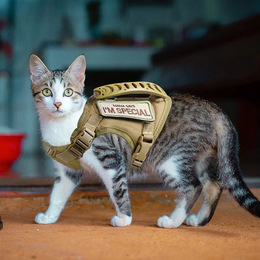 Tactical Cat & Small Dog Harness — Escape-Proof, Adjustable, and Breathable